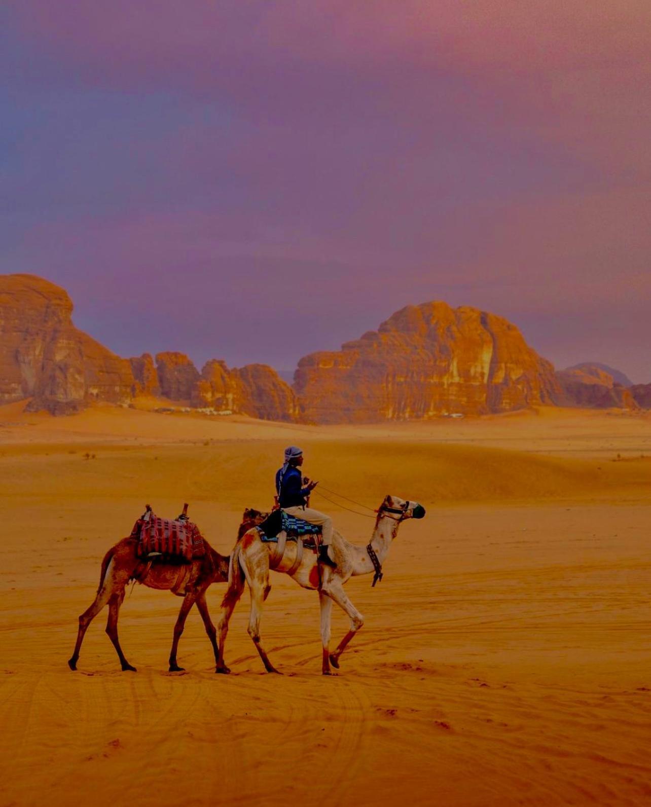 Wadi Rum Meteorite Camp ภายนอก รูปภาพ